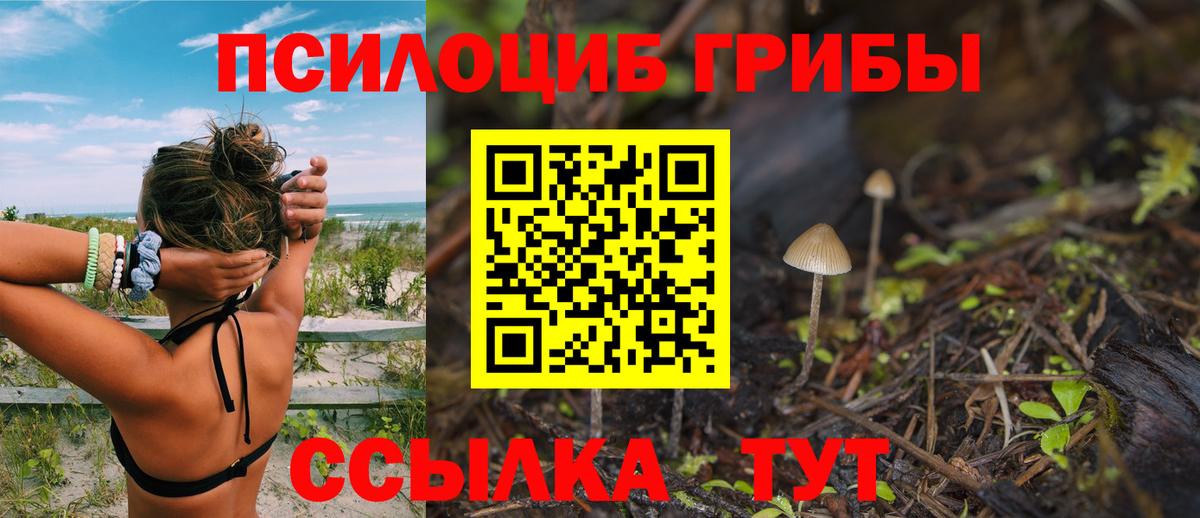 Галлюциногенные грибы GOLDEN TEACHER  Вход с VPN  купить наркоту  Нововоронеж 